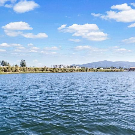 Driftwood Waterfront Gem Διαμέρισμα Sandpoint Εξωτερικό φωτογραφία